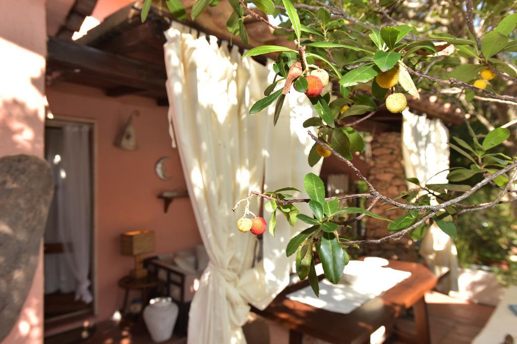 Bed & Breakfast Yin & Yang San Pantaleo Εξωτερικό φωτογραφία